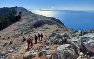 Έναρξη δράσεων από το 1ο Σύστημα Προσκόπων Αργοστολίου