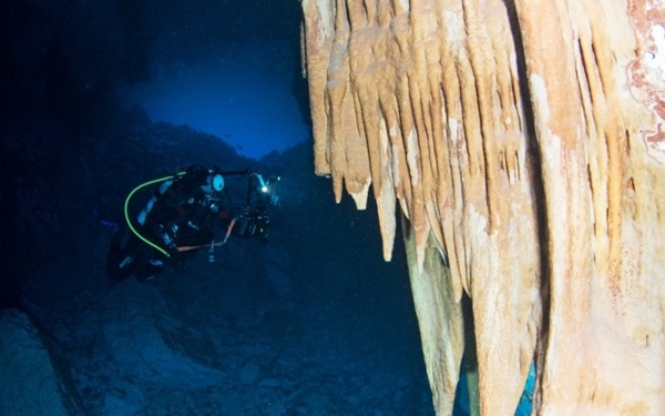 To Blue Manta Diving & Aquanautic Club αναδεικνύει τον καταδυτικό τουρισμό της Κεφαλονιάς