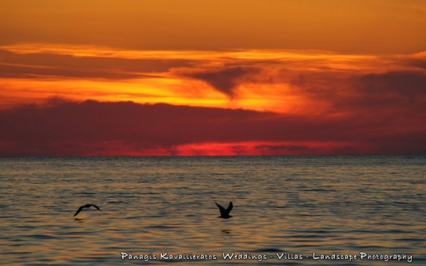 Υπέροχες εικόνες από την παραλία των Πετανών...