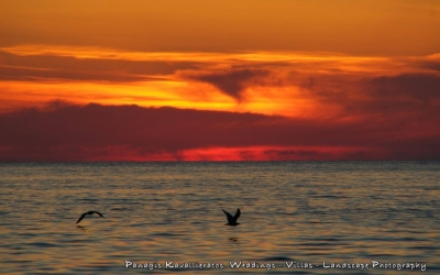 Υπέροχες εικόνες από την παραλία των Πετανών...