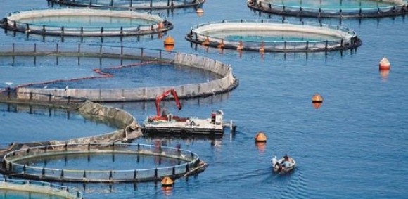 Το Γενικό Λύκειο Ληξουρίου ευχαριστεί τα Ιχθυοτροφεία Κεφαλονιάς