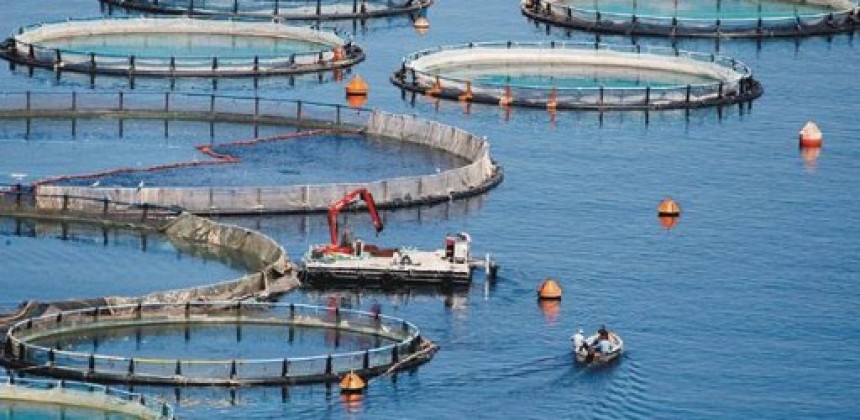 Το Γενικό Λύκειο Ληξουρίου ευχαριστεί τα Ιχθυοτροφεία Κεφαλονιάς