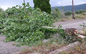 Η φωτογραφία δεν έχει σχέση με το συμβάν