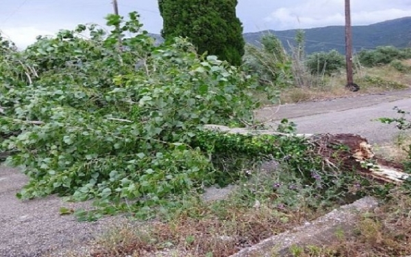 Η φωτογραφία δεν έχει σχέση με το συμβάν