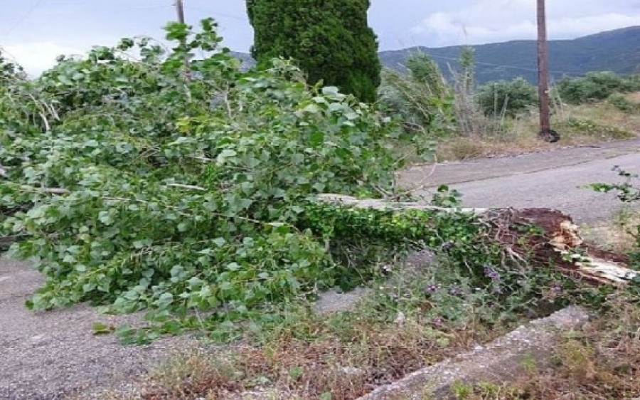 Η φωτογραφία δεν έχει σχέση με το συμβάν