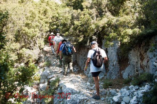 Ο Ορειβατικός Σύλλογος στη μαγευτική διαδρομή στη Νιπολά 