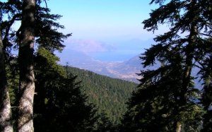 Μήνυμα ΙΚΙ για το 2026: Συνεχίζουμε τον αγώνα για περιβάλλον και ποιότητα ζωής σε Κεφαλονιά και Ιθάκη