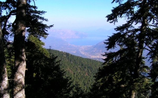 Μήνυμα ΙΚΙ για το 2026: Συνεχίζουμε τον αγώνα για περιβάλλον και ποιότητα ζωής σε Κεφαλονιά και Ιθάκη