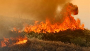 Τραγωδία στη φωτιά στο Μαντούδι Ευβοίας – Βρέθηκε απανθρακωμένο πτώμα