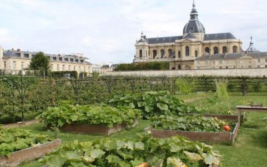 Ο λαχανόκηπος του βασιλιά στις Βερσαλίες: 9 στρέμματα μαγείας, ως σήμερα [εικόνες]