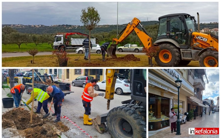 Το Αργοστόλι καλλωπίζεται! Δενδροφυτεύσεις, βάψιμο ιστών φωτισμού στο Λιθόστρωτο και καλλωπισμός στους κόμβους της Κρανιάς! (εικόνες)