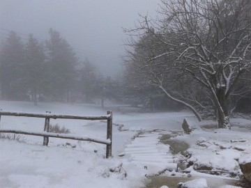 Μεγάλη Πέμπτη... με χιόνια στην Πάρνηθα! | Δείτε φωτογραφίες!