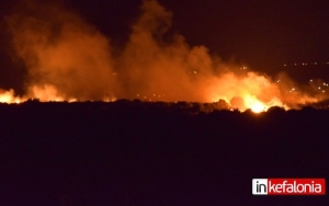 Ολονύχτια μάχη με τις φλόγες - Μια εστία ανοικτή αυτή την στιγμή στα Δοριζάτα (ανανεωμένο - εικόνες + video)