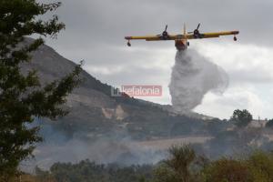 Υπό έλεγχο η πυρκαγιά στην Παλική (φωτορεπορτάζ)