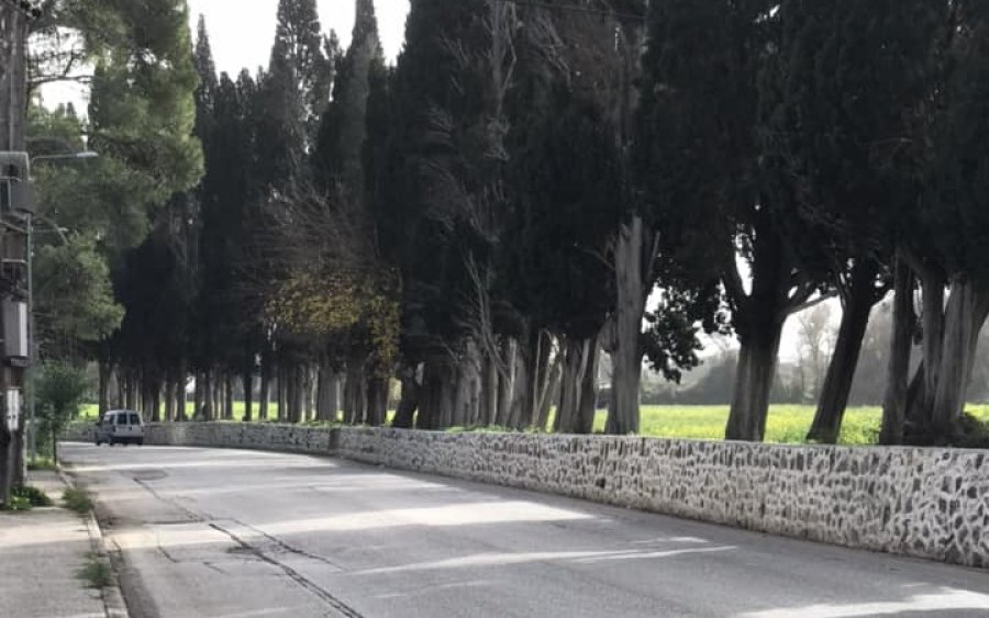 Σωτήρης Κουρής: "Ολοκληρώθηκε από την Βαλλιάνειο Γεωργική Σχολή η επισκευή - καθαρισμός της εξωτερικής μάντρας στην είσοδο του Αργοστολίου" (εικόνες)
