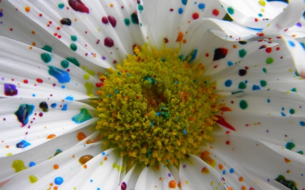 Απόψε καλλιτεχνική βραδιά στο Bar Perseus στην Σκάλα