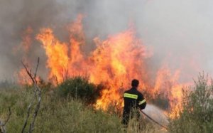 Πυροσβεστική Υπηρεσία Κεφαλονιάς: Αρκετές οι δασικές/αγροτοδασικές πυρκαγιές από καύση υπολειμμάτων καλλιεργειών - Μεγάλη προσοχή και τήρηση μέτρων