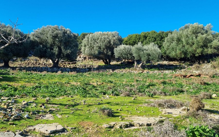 Η περιοχή του Φαραώ σήμερα. Εδώ είχαν στηθεί οι σκηνές, οι παράγκες και αργότερα τα παραπήγματα. Ο τόπος που έζησα μια πολύ δύσκολη περίοδο των παιδικών μου χρόνων