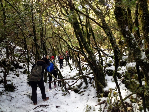 Ορειβατικός Σύλλογος : Χιονοπόλεμος στην καρδιά της Κεφαλονιάς
