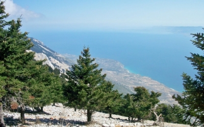 Απαγόρευση κυκλοφορίας οχημάτων και εκδρομέων στον Αίνο