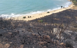 Η επόμενη ημέρα στον Κατελειό... (εικόνες+video)
