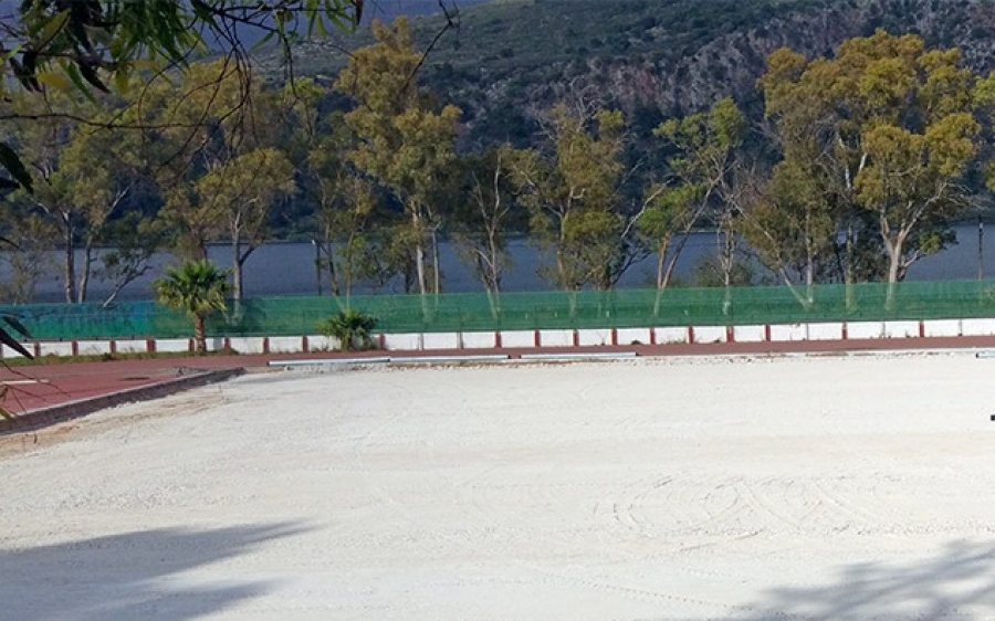 Επιτακτική ανάγκη η κοπή «επικινδύνων» δέντρων στο Αργοστόλι