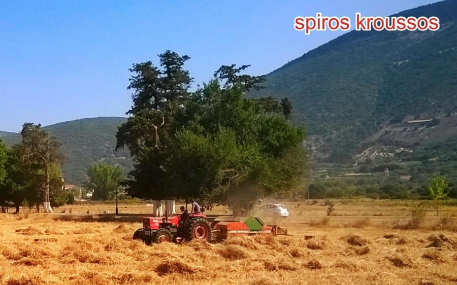 Εικόνες στον κάμπο του Αγίου...