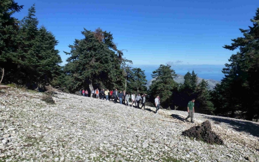 Συγκέντρωση Διαμαρτυρίας στο Υπουργείο Περιβάλλοντος από τους Φορείς Διαχείρισης Προστατευόμενων Περιοχών