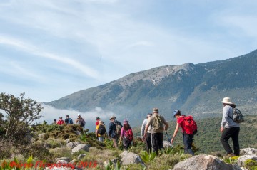 Ορειβατική Λέσχη : Αυτή την Κυριακή πάμε Μοναστηράκι- Άτρο