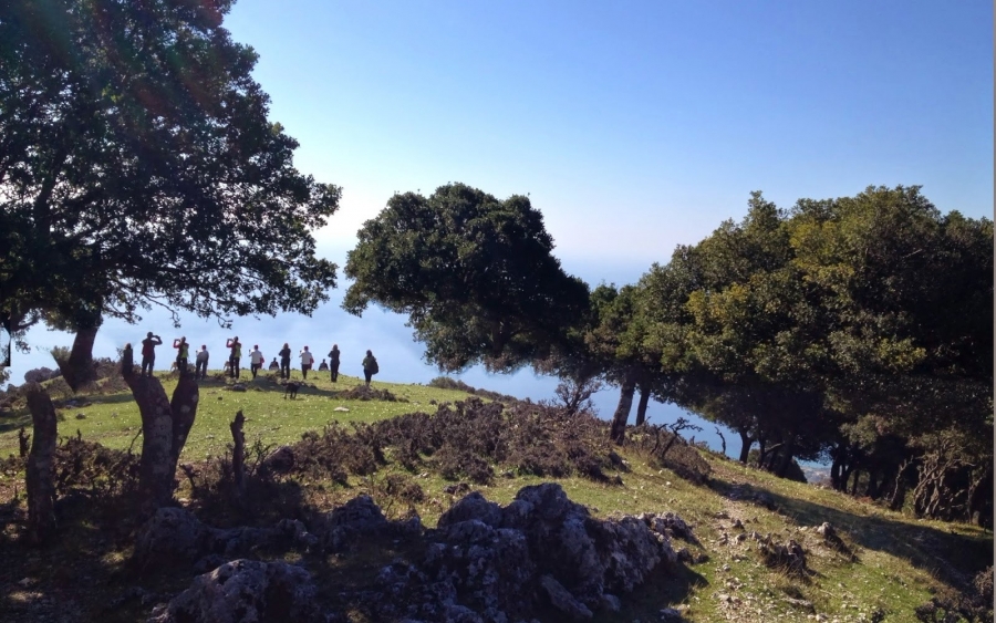 Την Καθαρή Δευτέρα τρέχουμε για το Παιδιατρικό τμήμα του Νοσοκομείου Κεφαλονιάς