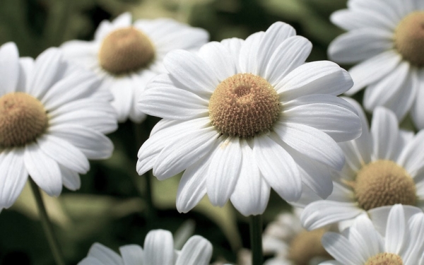 Συλλυπητήρια για την απώλεια του Αναστασίου Βουτσινά