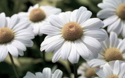 Συλλυπητήρια για την απώλεια του Αναστασίου Βουτσινά