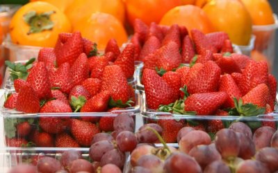 Τα φρέσκα φρούτα και λαχανικά του Αυγούστου