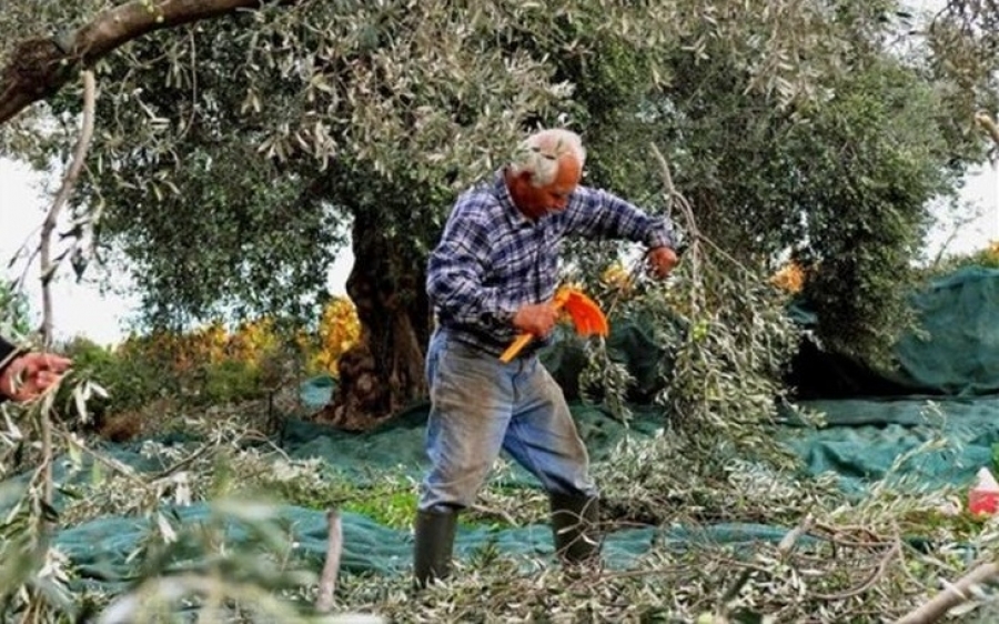 Έρχονται διαγραφές - εξπρές για τα «κόκκινα» δάνεια των αγροτών