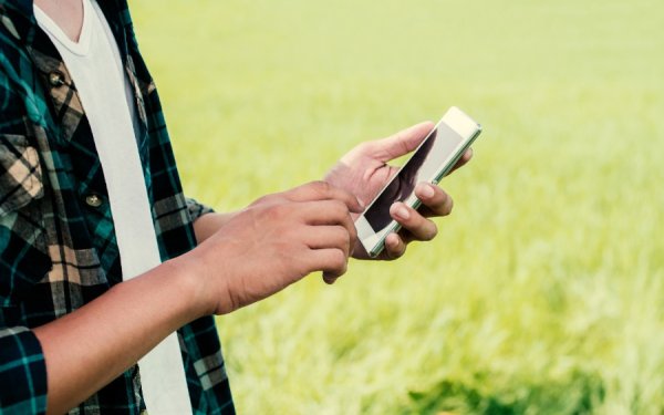 Ε.Α.Σ. : Δήλωση μεταβολών για υποχρεωτική μετάταξη αγροτών στο κανονικό καθεστώς Φ.Π.Α.