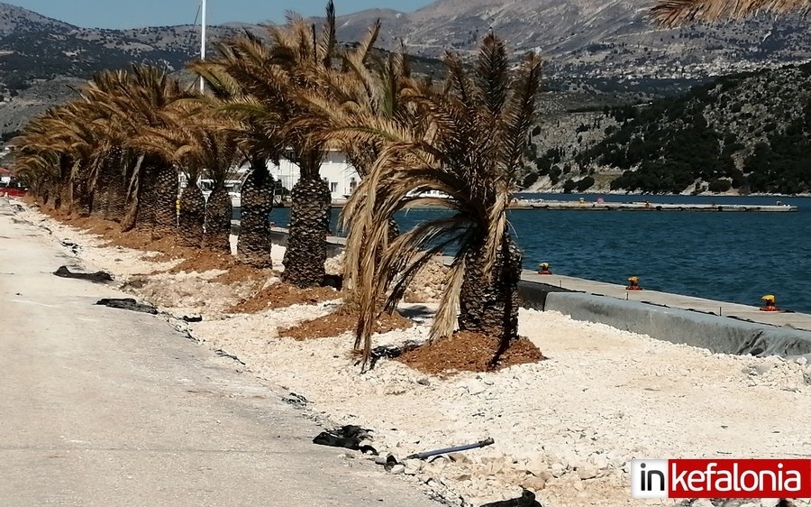 Παραλιακή Αργοστολίου - Ουδέν σχόλιον ... (Εικόνες)