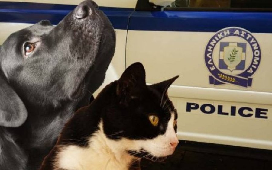 Ο Δήμος Σάμης για τα φαινόμενα μαζικής θανάτωσης μικρών ζώων - "Καταδικάζουμε τέτοιες πρακτικές"