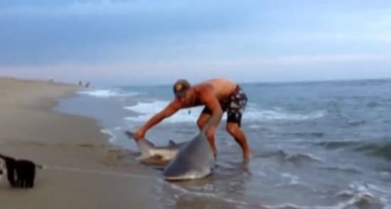 Ψαράς παλεύει με καρχαρία (video)