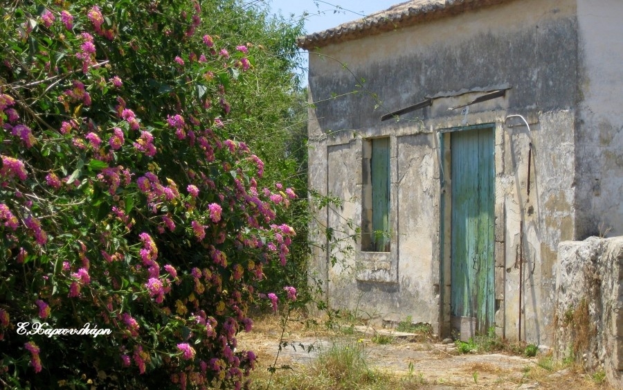 Πεσσάδα... ίχνη του χθες - Υπέροχες εικόνες!