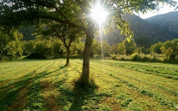 Ε.Α.Σ.: Ποιοι Παραγωγοί πήραν το Εθνικό Απόθεμα έτους 2017
