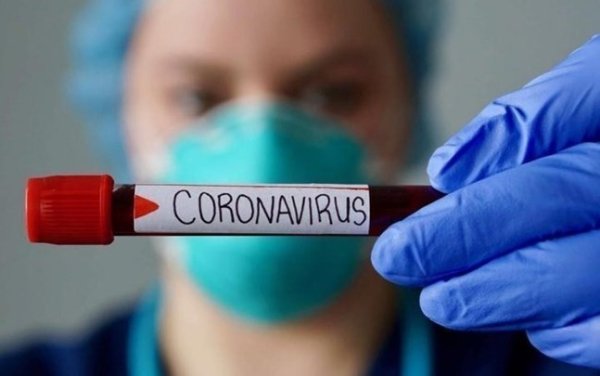 Επιστολή Διαμαρτυρίας: «Να ζει ο Κορονοϊος ή να μη ζει; Μια λογική απορία - μια πικρή εμπειρία στην Σάμη Κεφαλονιάς»
