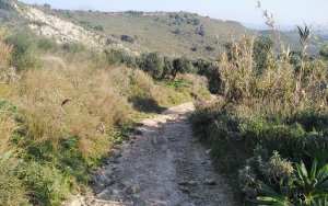 Δήμος Ληξουρίου: Κάλεσμα για Περιβαλλοντική Δράση:&quot;Περπατώντας ένα μονοπάτι της Παλικής με πλούσια ιστορία και παράδοση&quot;