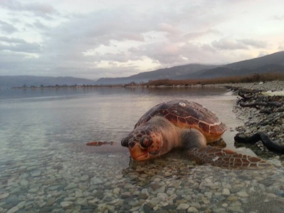 Η φωτογραφία δεν έχει σχέση με το συμβάν