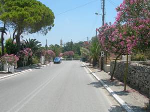 Ανοικτή Επιστολή προέδρου Τ.Κ. Λακήθρας Ι.Κωνσταντάτου για το Αλσήλιο της Καλλιθέας