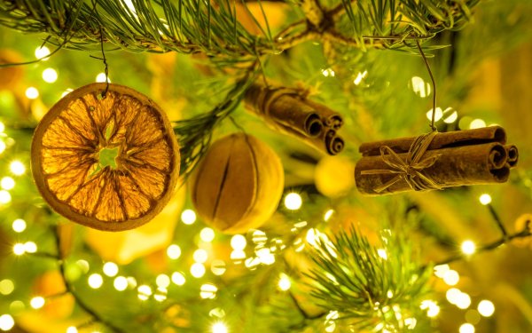 Ο πρώτος χορός του Συλλόγου γονέων του 3ου Γυμνασίου, είναι γεγονός!