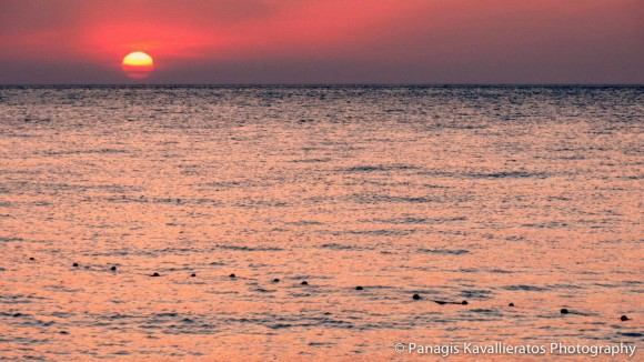 Φωτογραφία : Παναγής Καβαλλιεράτος