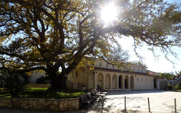 Αγρυπνία για τα Χριστούγεννα στη Μονή Αγίου Γερασίμου