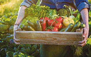 Ιόνιο Πανεπιστήμιο: Ημερίδα με τίτλο «Βιώσιμα Συστήματα Τροφίμων - Επιστροφή στο μέλλον» στο Αργοστόλι