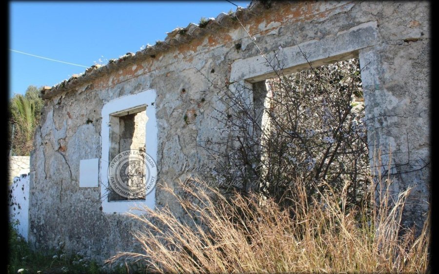 Λύκειο Ελληνίδων: Οι όροι συμμετοχής στο διαγωνισμό για τους Σεισμούς του 1953