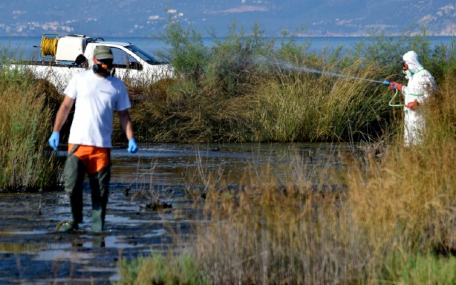 Ιός Δυτικού Νείλου: 5 κρούσματα στην Ξάνθη -Ανησυχία στους κατοίκους